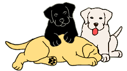 three labs animation