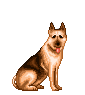 German Shepherd animation