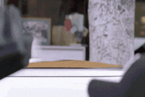 50 Cent vs. cat staring contest 