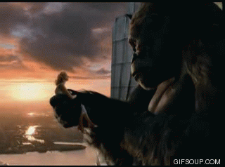 king kong movie ann