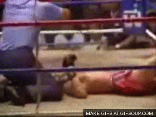 muay thai