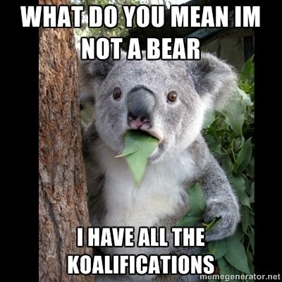 Image result for marsupials meme
